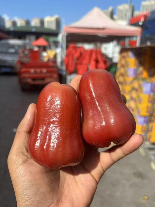 三亚黑糖芭比莲雾 果肉嫩甜水 商品图9