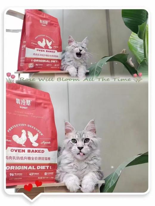 翡冷翠低温烘焙系列鸽肉鸡肉鸭肉石榴猫狗粮 商品图2