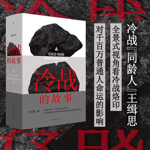 冷战的故事  王缉思 新作 讲述大时代下千百万普通人的故事  多角度观察冷战 历史世界史政治国际 商品图0