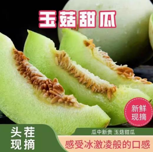 【助农】山水龙城山东玉菇甜瓜5斤装（净重4.5斤±100g，2-3个，单果重量≥1.5斤） 商品图2