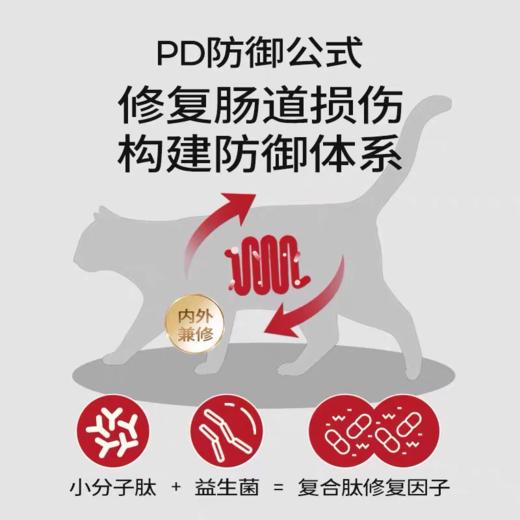 翡冷翠低温烘焙系列鸽肉鸡肉鸭肉石榴猫狗粮 商品图8