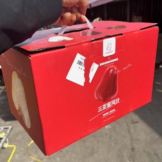 三亚黑糖芭比莲雾 果肉嫩甜水 商品图7