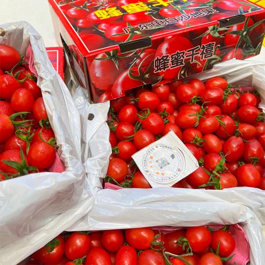 刘婆婆小甜甜千禧 小番茄 圣女果 好吃的甜番茄 商品图11