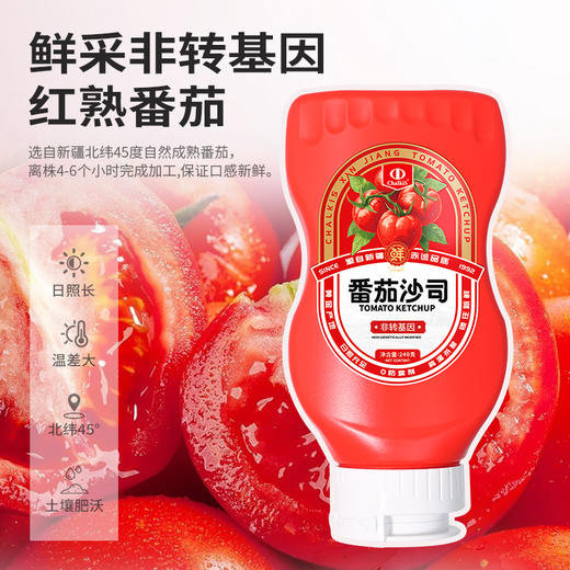 中基·番茄沙司·240g*3  新疆番茄 自然酸甜 商品图8