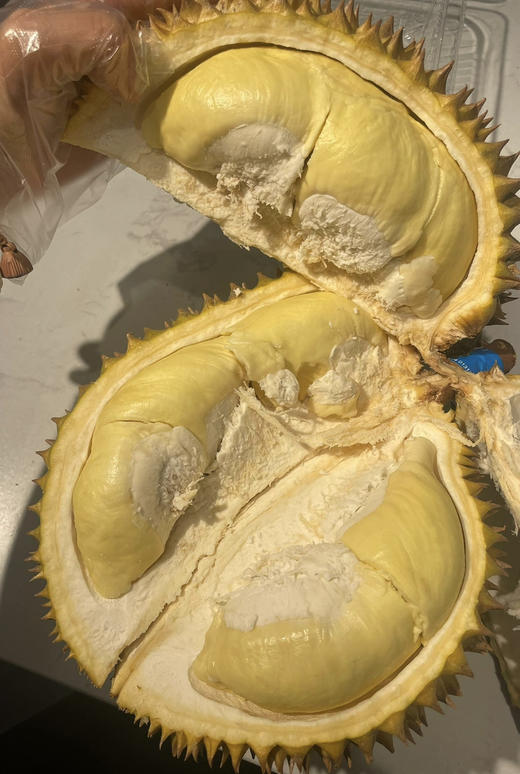 树熟金枕榴莲 商品图1