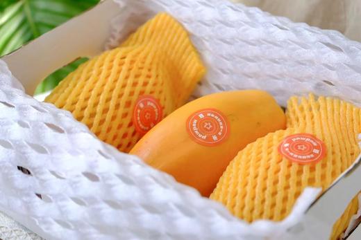 白富美牛奶木瓜2-4枚装 自然熟的木瓜，外包装随机，拿到手上便能闻到一股浓郁果香红彤彤的果肉娇艳欲滴，滑嫩细腻 商品图1