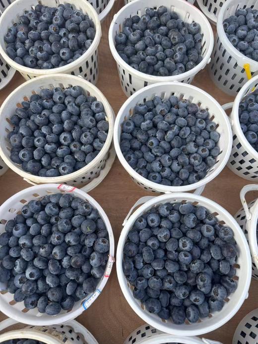 花香蓝莓 18+大果 商品图1