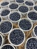 花香蓝莓 18+大果 商品缩略图2