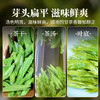 【年货茶礼】茶叶 碧螺春 龙井 毛尖 绿茶 春茶  茶叶礼盒 茶饮 五虎 250g 商品缩略图13