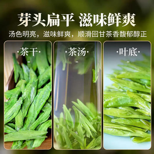 【年货茶礼】茶叶 碧螺春 龙井 毛尖 绿茶 春茶  茶叶礼盒 茶饮 五虎 250g 商品图13