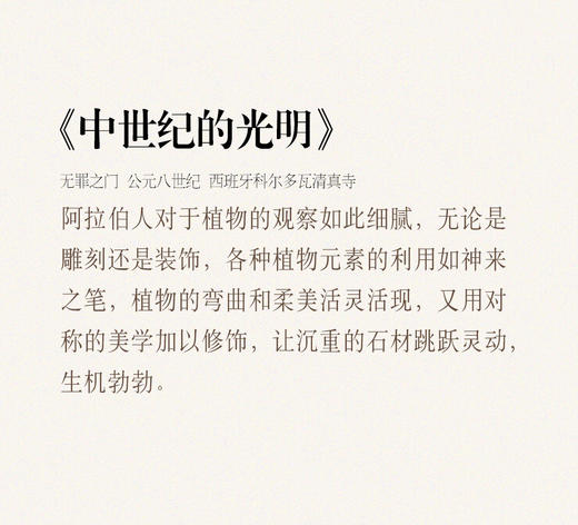 【伯妮斯茵】173S078--黑色印花连衣裙--中世纪的光明--《宁静之美》 商品图7