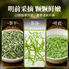 【春季茶礼】茶叶 毛尖  春茶 茶叶礼盒 茶饮 五虎  250g 商品缩略图2