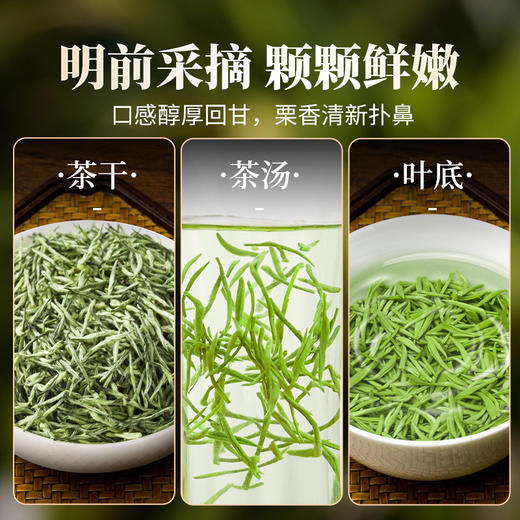 【春季茶礼】茶叶 毛尖  春茶 茶叶礼盒 茶饮 五虎  250g 商品图2