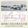 南食召 烟熏三文鱼(莳萝柠檬风味) 商品缩略图4