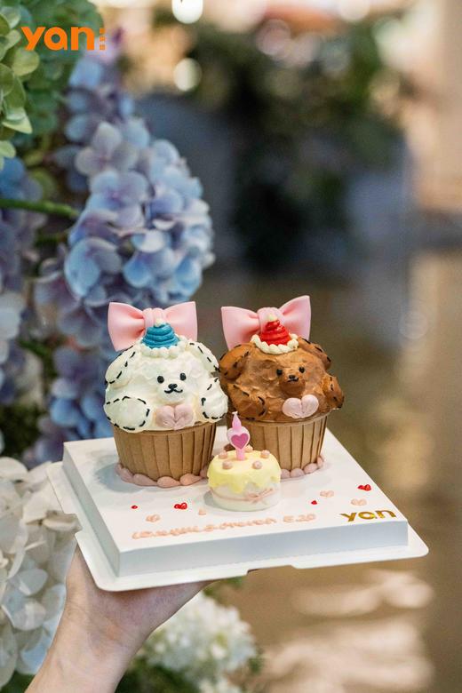 纸杯小熊 商品图3