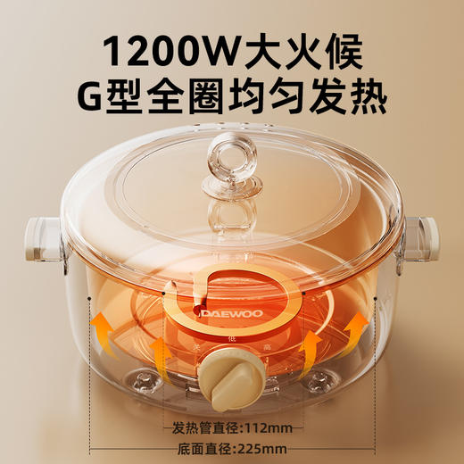 大宇 多功能电火锅S29 4L容量 1200w大火候电煮锅 食品级不粘涂层 72小时发货 商品图1