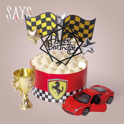 F1赛车手 F1 Racing Driver 商品图1