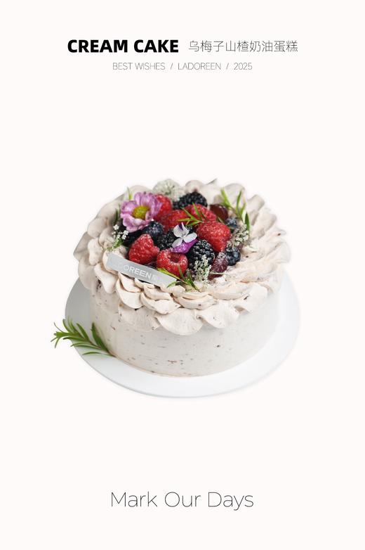 乌梅子山楂奶油蛋糕 商品图0