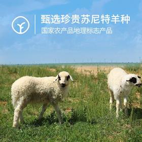 牧北鲜内蒙古有机原切法式羊排