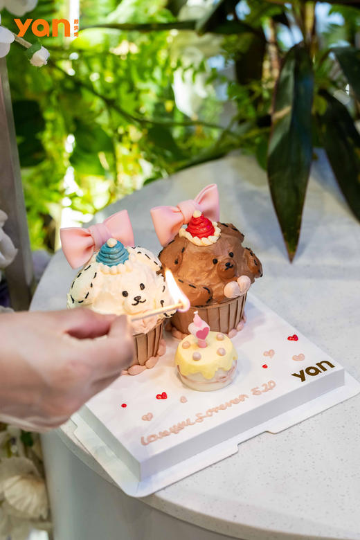 纸杯小熊 商品图0