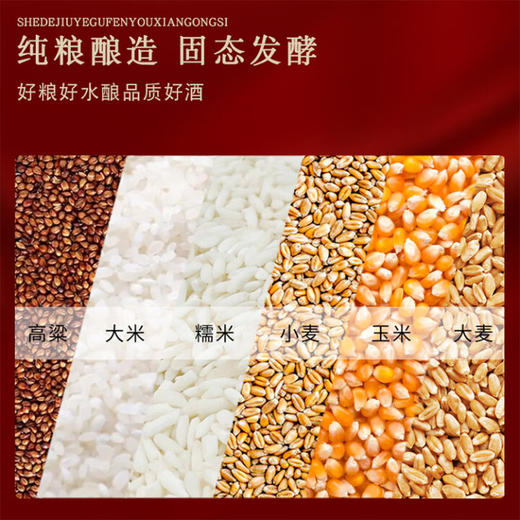 【2021年】 舍得 国马 浓香型 52度 500ml 商品图3