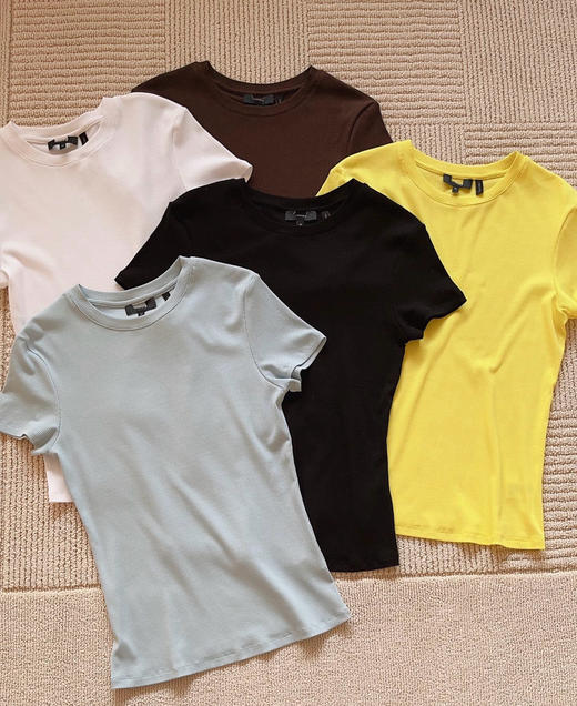 324-2 亏清无退换 极简高级 人手两件 th基础款 螺纹坑条 匹马棉针织 圆领短袖T恤 商品图12