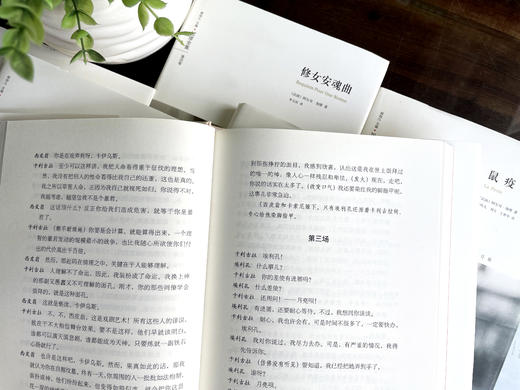 买【南方周末年会员】，赠《加缪全集》礼盒装全6册（诺贝尔文学奖获得者，《加缪全集》最新修订版） 商品图4