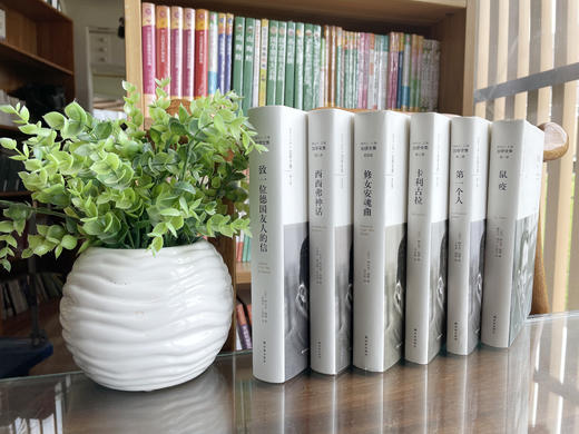 买【南方周末年会员】，赠《加缪全集》礼盒装全6册（诺贝尔文学奖获得者，《加缪全集》最新修订版） 商品图5