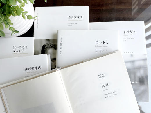 买【南方周末年会员】，赠《加缪全集》礼盒装全6册（诺贝尔文学奖获得者，《加缪全集》最新修订版） 商品图3