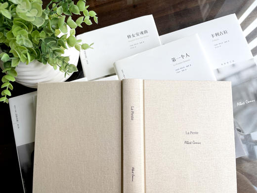 买【南方周末年会员】，赠《加缪全集》礼盒装全6册（诺贝尔文学奖获得者，《加缪全集》最新修订版） 商品图6