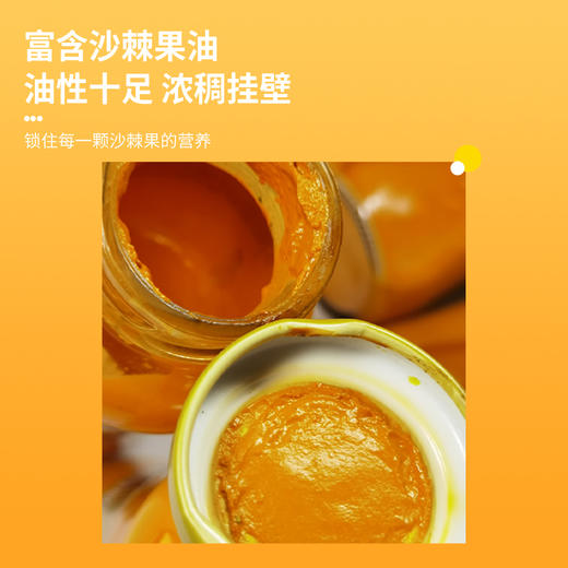 沙棘原汁 248ml瓶装 商品图1