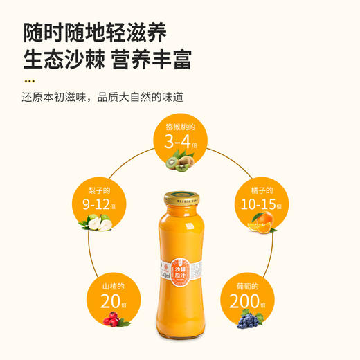 沙棘原汁 248ml瓶装 商品图2