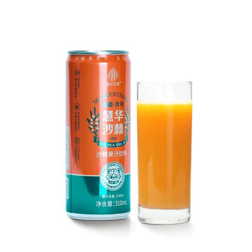 沙棘果汁饮料 310ml易拉罐 商品图4