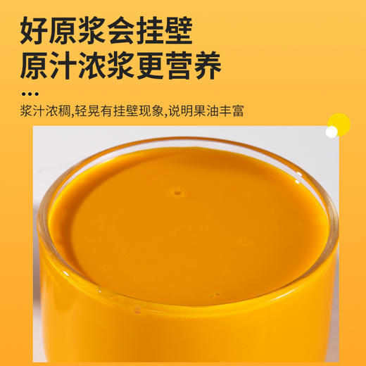 沙棘原浆500ml自立袋 商品图1