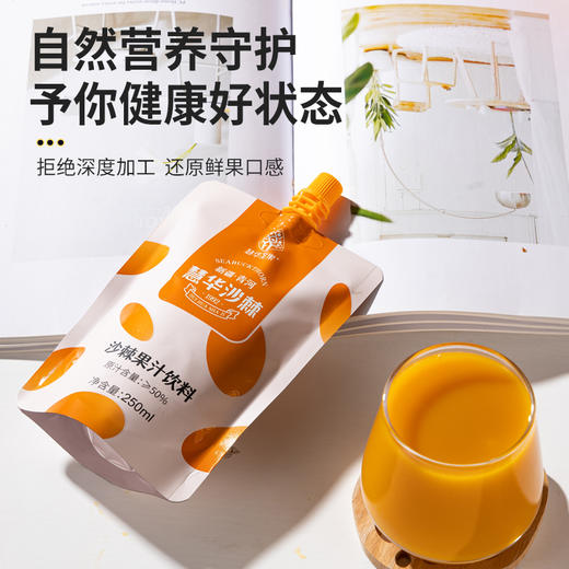沙棘果汁饮料 250ml自立袋 商品图0