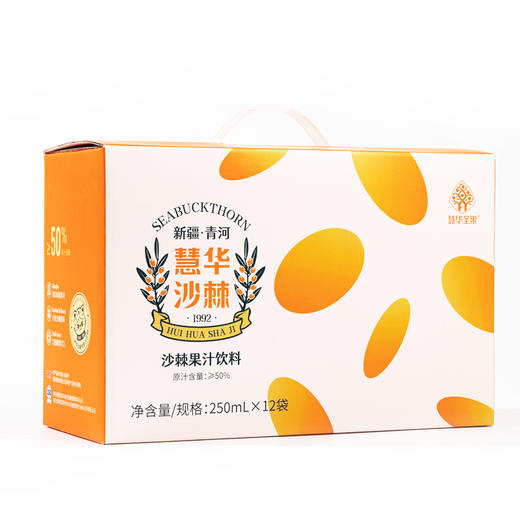 沙棘果汁饮料 250ml自立袋 商品图4