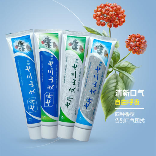 蕴含皂苷的三七植物牙膏   100g/支 商品图1