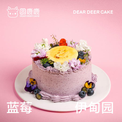 蓝莓伊甸园 商品图0