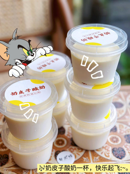 招牌奶皮子酸奶（白桃味）/24小时发酵 商品图1