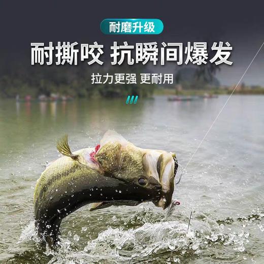 江左纤影高品质路亚碳线前导线 商品图2