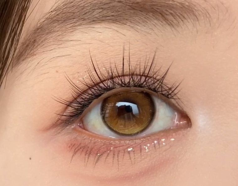 Toast Nomi 半年抛 黄金时代 / 烟火袅袅（棕灰14.2mm 最高 800度）