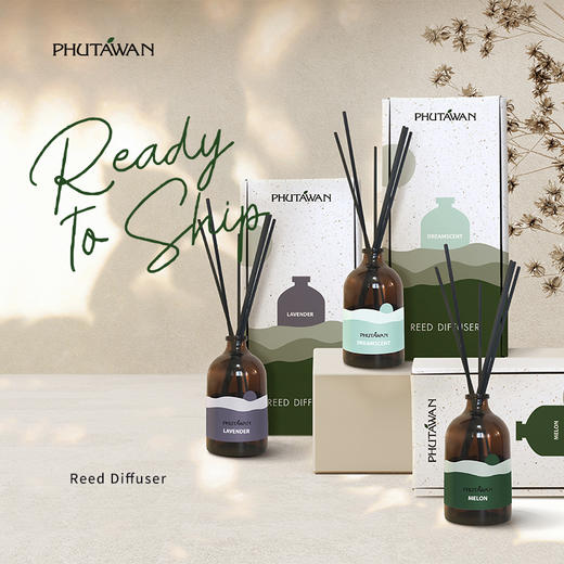 普达湾泰国进口无火藤条香薰精油卧室家用室内持久扩香柠檬草驱蚊 商品图0