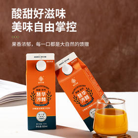 沙棘果汁饮料 500ml利乐包装