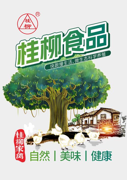 【社区专享】专享礼品 商品图1