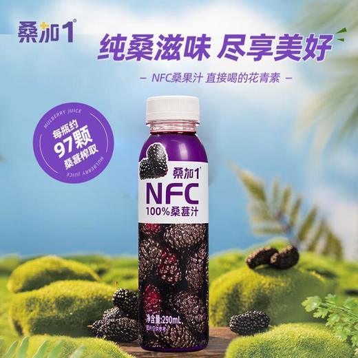桑加1 NFC100%果汁290ml（桑椹/石榴/猕猴桃汁） 商品图1