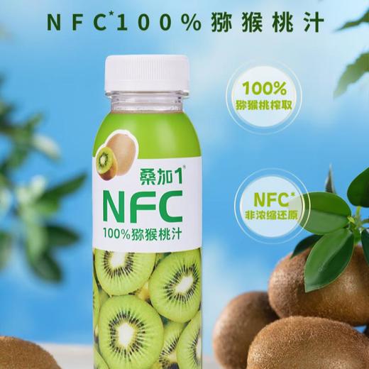 桑加1 NFC100%果汁290ml（桑椹/石榴/猕猴桃汁） 商品图2