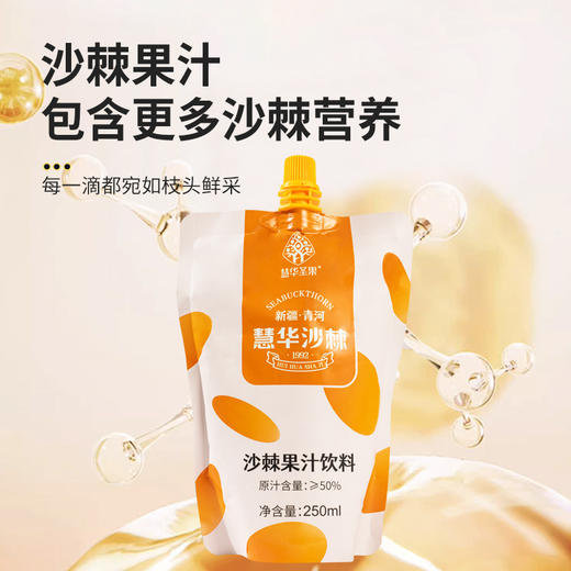 沙棘果汁饮料 250ml自立袋 商品图1