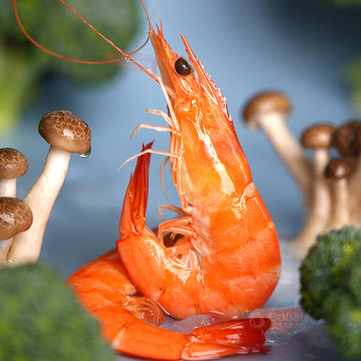 俏虾客盐田熟虾500克 商品图0