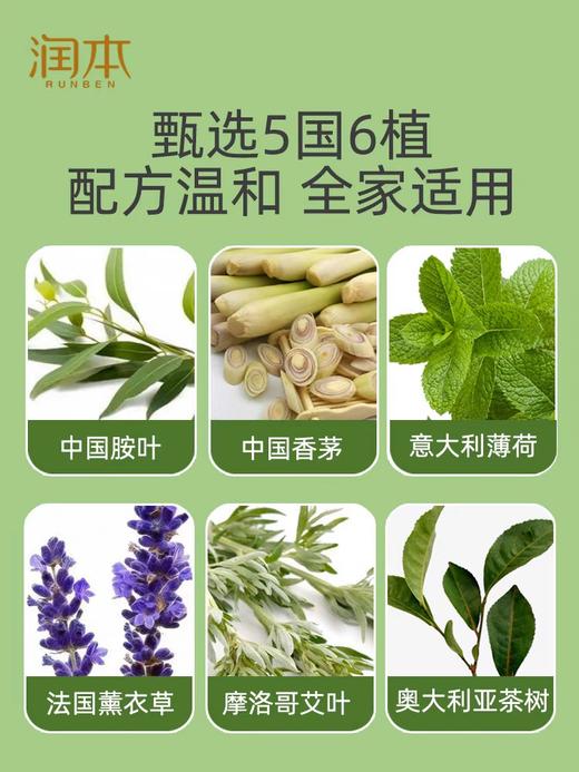 润本叮叮植物精油香圈（恐龙王国）30条 商品图4