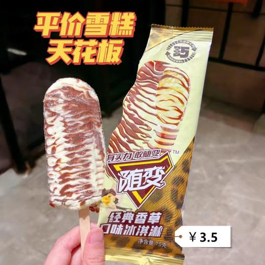 随变经典香草口味冰淇淋75g 商品图0
